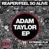 ascolta in linea Adam Taylor & Leigh Green - Adam Taylor EP