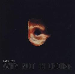 Download Holy Toy - Why Not In Choir