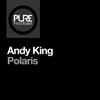 ladda ner album Andy King - Polaris