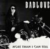 baixar álbum Badlove - More Than I Can Tell