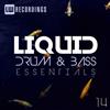 Album herunterladen Various - Liquid Drum Bass Essentials 14