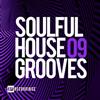 baixar álbum Various - Soulful House Grooves 09