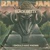 ouvir online Ram Jam - Black Betty I Should Have Known