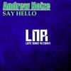 online luisteren Andrew Noize - Say Hello