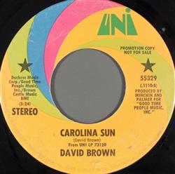 Download David Brown - Carolina Sun