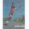 Skittle Alley - demo