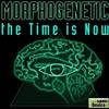 last ned album Morphogenetic - The Time Is Now