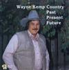 télécharger l'album Wayne Kemp - Country Past Present Future