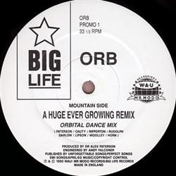 Download Orb - A Huge Ever Growing Remix