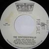 lytte på nettet The Whitesidewalls - Clear Lake Medley 82