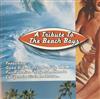 Album herunterladen John B & The Surfin' Safaris - A Tribute To The Beach Boys