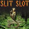 Slit Slot - Snake Oil