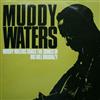 lyssna på nätet Muddy Waters - Muddy Waters Sings The Songs Of Big Bill Broonzy