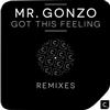 ladda ner album Mr Gonzo - Got This Feeling Remixes