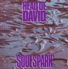 last ned album Head Of David - Soul Spark