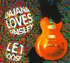 Album herunterladen Dajana Loves Paisley - Let Loose