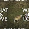 online luisteren David Ivan Neil - What Is Love