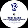 last ned album The Ends - Are You Really From The Ends Mystery VIP Mix