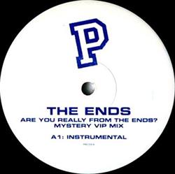 Download The Ends - Are You Really From The Ends Mystery VIP Mix