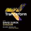 online anhören David Surok - Shadow