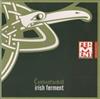 lataa albumi Carrantuohill - Irish Fermet