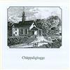 descargar álbum Thedy Blättler - Chäppaliglogge