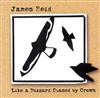 online anhören James Reid - Like A Buzzard Chased By Crows