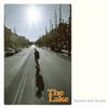 descargar álbum The Lake - Sunshine From The Past