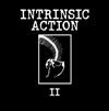 Intrinsic Action - II