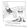 descargar álbum Palehound - YMCA Pool bw Sea Of Blood