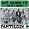 online anhören The Panthers - Dont You Know Why