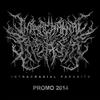 kuunnella verkossa Intracranial Parasite - Promo 2014