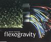 escuchar en línea Blind Zero & Mind Da Gap - Flexogravity