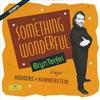 online luisteren Bryn Terfel, Paul Daniel, English Northern Philharmonia - Something Wonderful Bryn Terfel Sings Rodgers Hammerstein