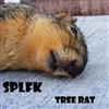 ouvir online Splfk - Tree Rat