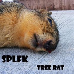 Download Splfk - Tree Rat