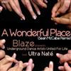 escuchar en línea Blaze Presents Underground Dance Artists United For Life Feat Ultra Naté - A Wonderful Place Sean McCabe Remix