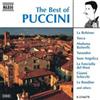 descargar álbum Giacomo Puccini - The Best Of Puccini