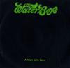 last ned album The Waterboys - A Man Is In Love