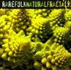 online luisteren Rarefolk - Natural Fractals