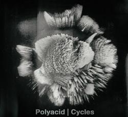 Download Polyacid - Cycles