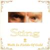 Album herunterladen Sting - Walk In Fields Of Gold