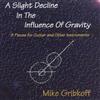 ladda ner album Mike Gribkoff - A Slight Decline In The Influence Of Gravity