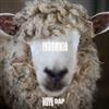 Album herunterladen Shane Reis & DAP - Insomnia