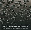 lyssna på nätet Joe Morris Quartet - A Cloud Of Black Birds