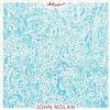 online anhören John Nolan - Sad Strange Beautiful Dream Acoustic Bootleg