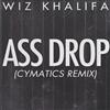 Wiz Khalifa - Ass Drop Cymatics Remix