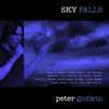 écouter en ligne Peter Godwin - Sky Falls