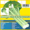 baixar álbum Various - The Kudos Digest Issue B Is For Broccoli