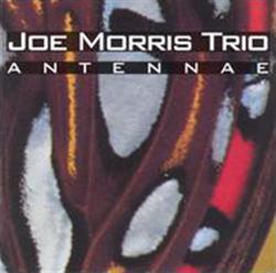 Download Joe Morris Trio - Antennae